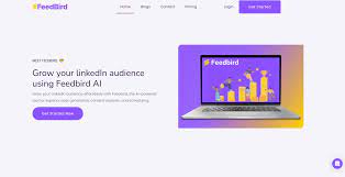 FeedBird 2023 Review: Is it worth the price?