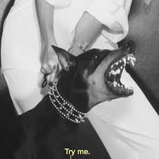 Na Izobrazhenii Mozhet Nahoditsya Odin Ili Neskolko Chelovek I Sobaka Doberman Black And White Aesthetic Dogs