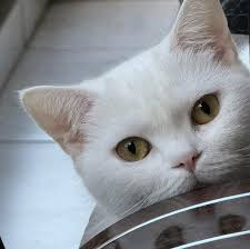 dolunayda twerk atölyesi