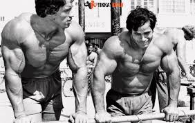 Arnold schwarzenegger is an austrian actor, producer, businessman, investor, author, philanthropist, activist, politician, and former professional bodybuilder. Arnold Schwarzenegger Biography Complete History As Mr Olympia In 2021 Arnold Schwarzenegger Bodybuilding Schwarzenegger