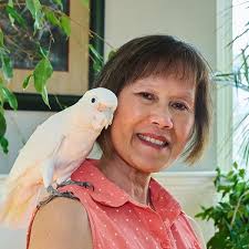 Uh-Oh! Trouble at School: A Grumpy the Bird Story: Mah, Linda, Usupova,  Lola: 9781738301713: Amazon.com: Books