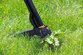Unkraut in beeten, im rasen oder auf befestigten flächen wie terrasse, wegen oder garagenauffahrten gehört für viele menschen zu den größten gartenärgernissen. Unkraut Im Rasen Bekampfen So Gelingt Es Mein Schoner Garten