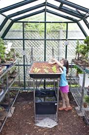 Backyard Aquaponics Freestylefarm