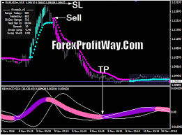 Forex Forex Trading Forex Factory Forex Signals Forexlive Forex Trading App Forex Rates Forex Calendar Forex Tradin Forex Trading Forex Trading System Trading