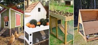 15 diy backyard chicken coop plans on a budget. 13 Small Chicken Coop Plans Customize Your Hen House