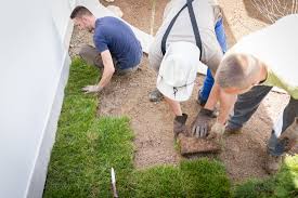 Hunsader sod provides professional sod removal and sod installation for residential and commercial lawns in sarasota, bradenton, lakewood ranch. Landscapers Sarasota Fl Lawn Service Water Falls