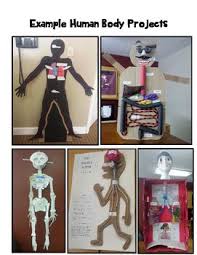 Human Body Project 3 D Model Of A Human Body System Human Body Projects Human Body Systems Human Body Systems Projects