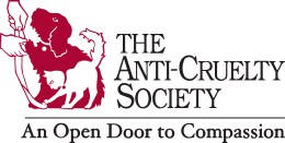 If your pet has behavior issues, we can help. Surrender Your Pet The Anti Cruelty Society