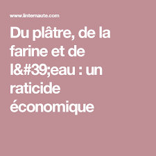 Du Platre De La Farine Et De L 39 Eau Un Raticide Economique Platre Economie Trucs Et Astuces