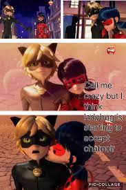 I M Gonna Die Ya Because Cat Noir Puts Out His Hand For Her To Hold But She Hold Miraculous Ladybug Memes Miraculous Ladybug Funny Miraculous Ladybug Comic
