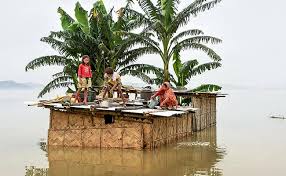 ভোট যুদ্ধৰ পূৰ্বেই বৰাকত আৰম্ভ হৈছে আন এখন যুঁজ! 43 Lakh Affected 95 Of Kaziranga Park Flooded In Assam 10 Points