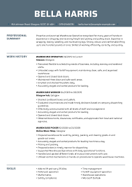 Download free cv resume 2020, 2021 samples file doc docx format or use builder creator maker. Find The Best Warehouse Operative Cv Examples At Myperfectcv