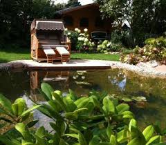 Gartenteich Mit Strandmuschel Gartengestaltung Inspirationen Teich Pflanzen Natur Friedrichs Gartenteich Garten Wassergarten