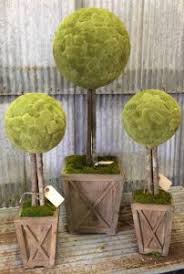 Maybe you would like to learn more about one of these? Preserved Boxwood Ball Topiaries Preserved Live Topiary Trees