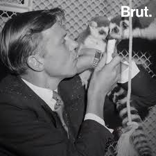 Une vie : Sir David Attenborough