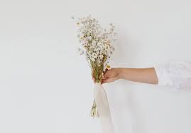 Easy mobile checkout · quick & easy checkout · fresh from the fields Mother S Day Gift Guide 2020