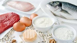 Makanan yang mengandung protein hewani. 9 Makanan Yang Mampu Berikan Energi Sepanjang Hari