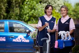 Molly maid of peoria peoria, il. Molly Maid Mission Benefits And Work Culture Indeed Com