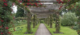 Die stiftung botanische gärten unter dem dach der uzh foundation setzt sich zum ziel, die botanischen gärten der universität zürich zu erhalten, zu pflegen und weiter zu entwickeln. Royal Botanic Garden Ein Tag Im Garten Eden Londonseite London Blog