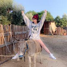 乃木坂46 与田祐希2nd写真集 無口な時間 発売決定 公式 on twitter animals goats giraffe