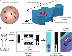 Shaped 3d Microcarriers For Adherent Cell Culture And