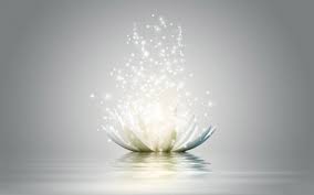 40 Beautiful Flower Wallpapers For Your Desktop Lotus Flower Wallpaper Flower Wallpaper Lotus Wallpaper