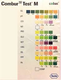 Reagent Strips Test A Simplified Method For Prompt Analysis