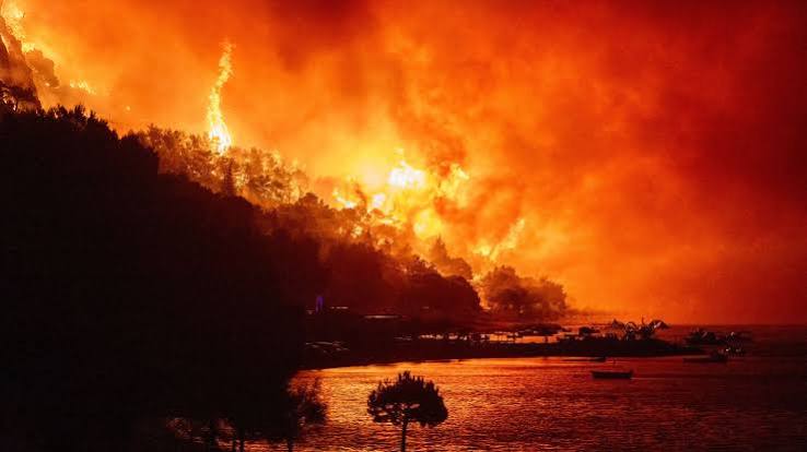 Thick smoke and orange flames engulf a coastal Croatian landscape near a tourist town as emergency services work to contain the blaze.
