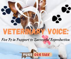 Learn funky, youthful decorating ideas that remain practical. Home Pure Dog Talk
