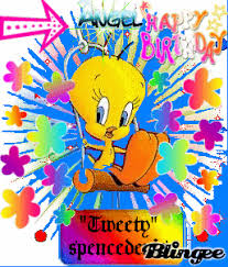 Bird Is The Word Gif With Sound Https Encrypted Tbn0 Gstatic Com Images Q Tbn 3aand9gctudb8dihdfwohb0vqvf3oa6of34w Cok7 Ea Usqp Cau