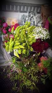 Roseville, roseville, ca 95747 map · phone number · visit website. J D Wholesale Flowers Home Facebook