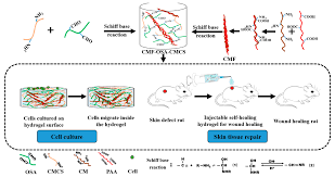 Check spelling or type a new query. Materials Free Full Text A Self Healing Hierarchical Fiber Hydrogel That Mimics Ecm Structure Html