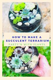 Medium Terrarium Kit Succulent Cactus Terrarium Kit Diy Glass Terrarium Terrarium Kit Gift Diy Succulent Terrarium Succulent Garden Diy Succulent Terrarium