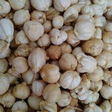 Kapulaga jawa adalah sejenis kapulaga yang sering digunakan sebagai rempah untuk masakan dan juga campuran jamu. Kapulaga Jawa Kapol Cardamom Jsr Rempah Shopee Indonesia