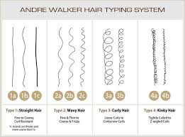 Andre Walker Hair Typing System Lajoshrich Com