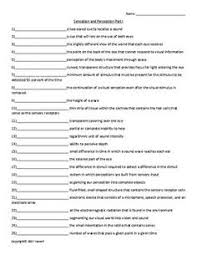 Sensation And Perception Part I Quiz Or Worksheet For Psychology Psychology Psychology Student Vocabulary Flash Cards