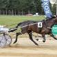Roxburgh Trots event image