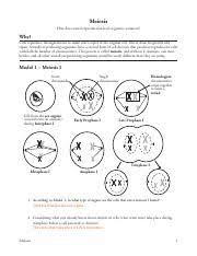 We did not find results for: Apb Meiosis Pogil Pdf Meiosis How Does Sexual Reproduction Lead To Genetic Variation Why Cells Reproduce Through Mitosis To Make Exact Copies Of The Course Hero