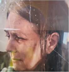 Pinal County Sheriff's...