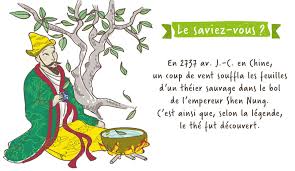 Le spécialiste café et thé à lyon depuis 1933 : La Route Des Aromes Thes Et Infusions