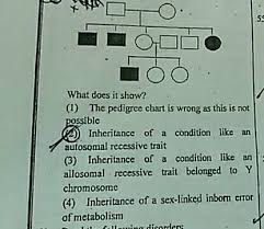 White eyed mother (xrxr) + red eyed male (xry) =. 55 Loddo Oo What Does It Show 1 Thc Pedigree Chart Is Wrong As This Is