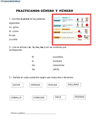 Genero Y Numero Interactive Worksheet In 2020 Workbook School Subjects Your Teacher