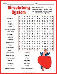 No Prep Circulatory System Activity Human Circulatory System Word Search Fun Human Circulatory System Circulatory System Activities Circulatory System