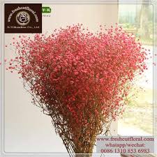 We did not find results for: Source Cheapest Wholesale Silk Hydrangeas With Free Shipping On M Alibaba Com Wholesale Flowers Hydrangeas For Sale Silk Hydrangeas