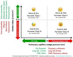 Image result for CHF Observation Unit