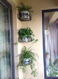The flowers and gothic designed pots stand out on plain or unpainted concrete staircase handrails. Flower Pot Stand Holder Corner Wall Shelf Iron Spider Plant Vase Hooks Style Garden Diy Scindapsus Ra House Plants Decor Small Balcony Decor Plant Decor Indoor