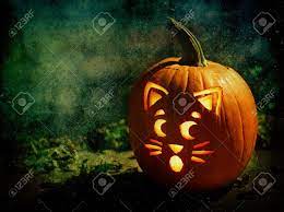 We did not find results for: An Artistic Composition Of A Halloween Jack O Lantern With A Carved Cat Face Design Stock Photo Picture And Royalty Free Image Image 81193555