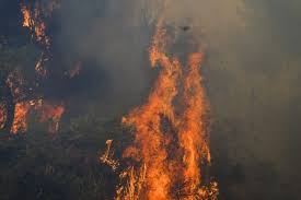 Σημειωθεί νέα πυρκαγιά πίσω από την πετρούπολη στην περιοχή των άνω λιοσίων. Mdcpov2uj Zrqm