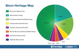 Fermilab Bison In Pictures And Musings News