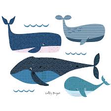 :scratchchin:page 1 of 2 mda.se pare ca o cioara traieste in jur de 30 de ani;si eu care credeam ca au durata de viata mult mai mare decat a oamenilor. Cat Traieste O Balena